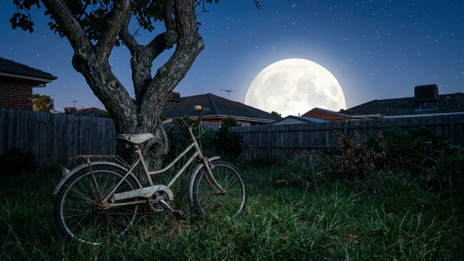 Un vélo d'enfant appuyé contre un arbre dans un jardin de banlieue sous une grande pleine lune