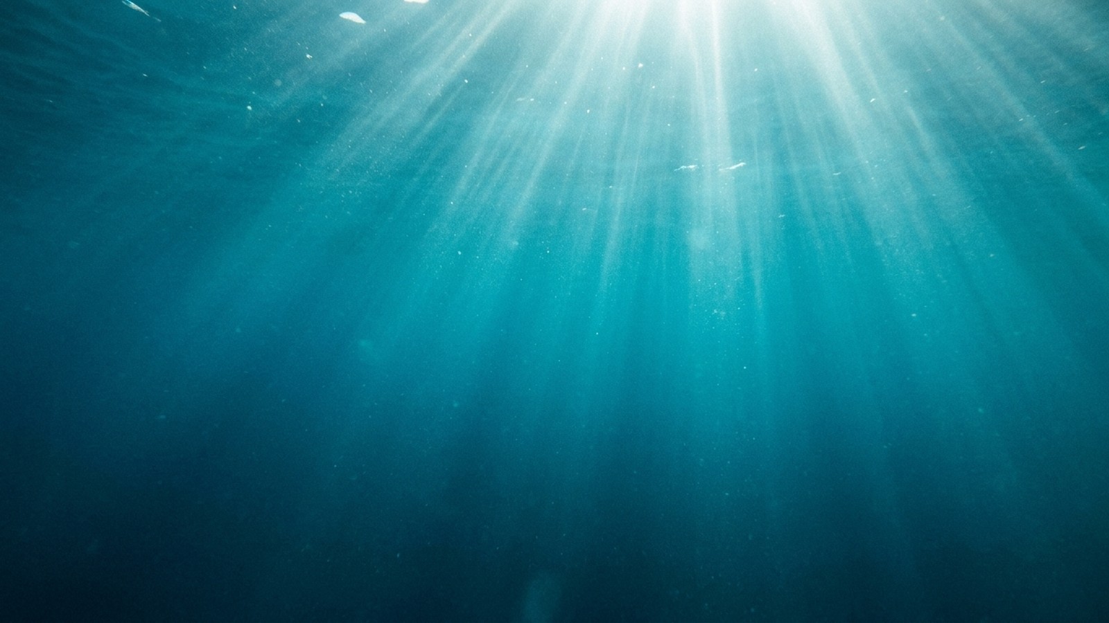 Vue sous-marine dans une mer d'un bleu profond avec des rayons de soleil perçant l'eau