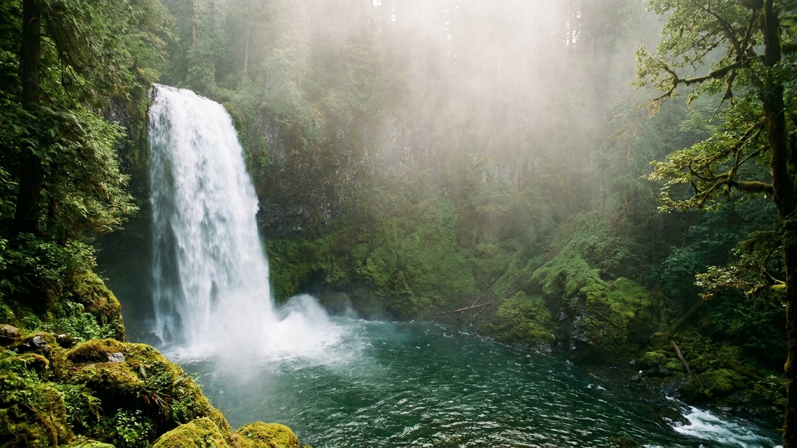 Une grande cascade puissante tombant dans un bassin entouré de forêt verdoyante, embruns et lumière douce, ambiance luxuriante