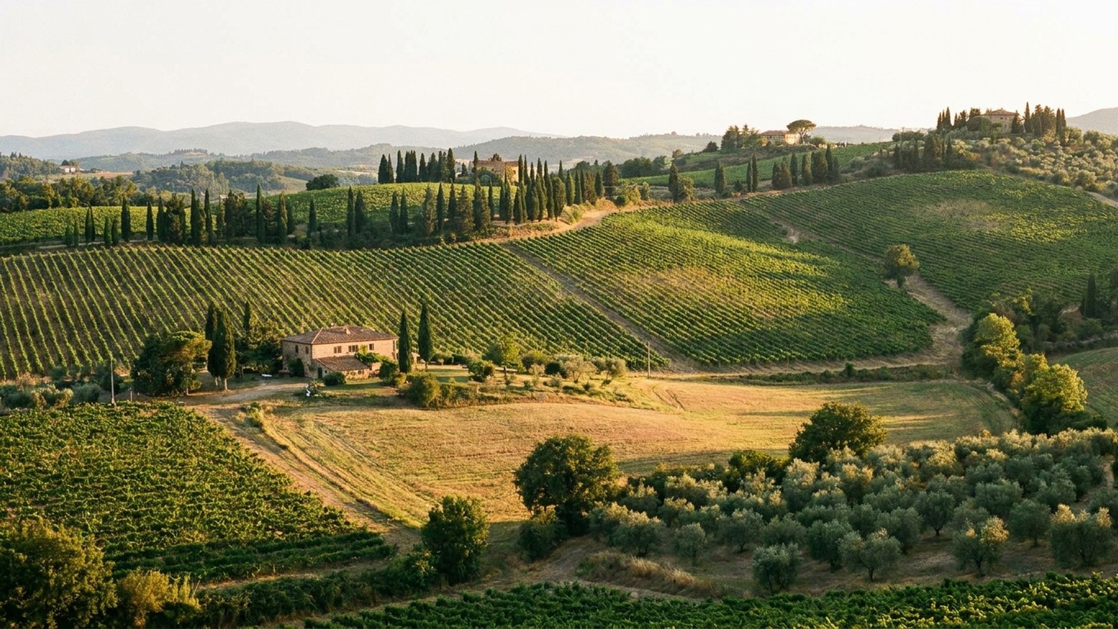 Un paysage lumineux du sud de la France au soleil, collines, cyprès et lumière dorée, ambiance poétique et chaleureuse