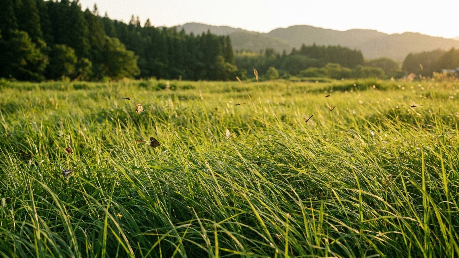 Prairie japonaise ensoleillée avec de hautes herbes vertes, des papillons et des libellules