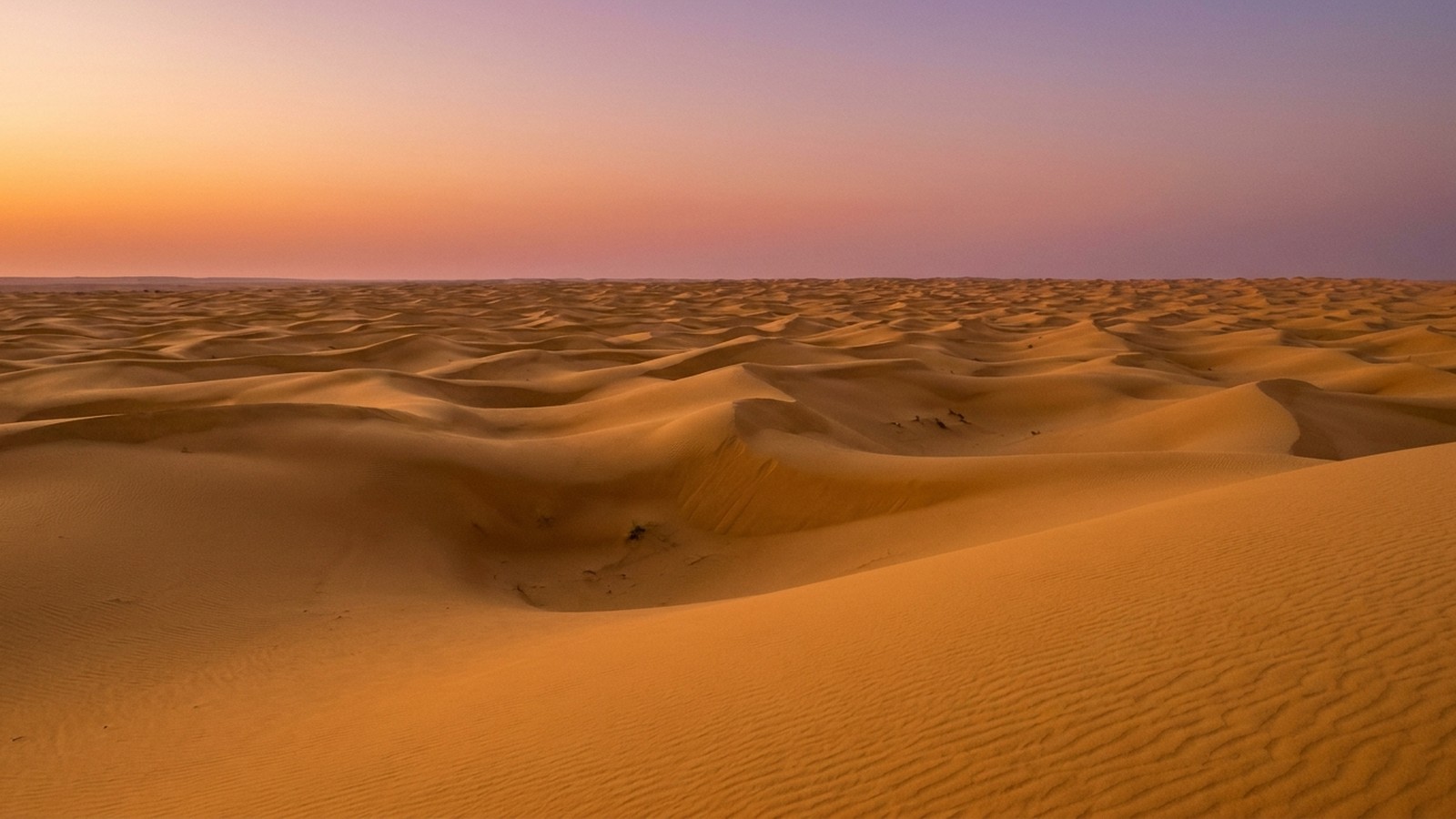 Vaste désert de dunes de sable doré au coucher du soleil dans le sud tunisien